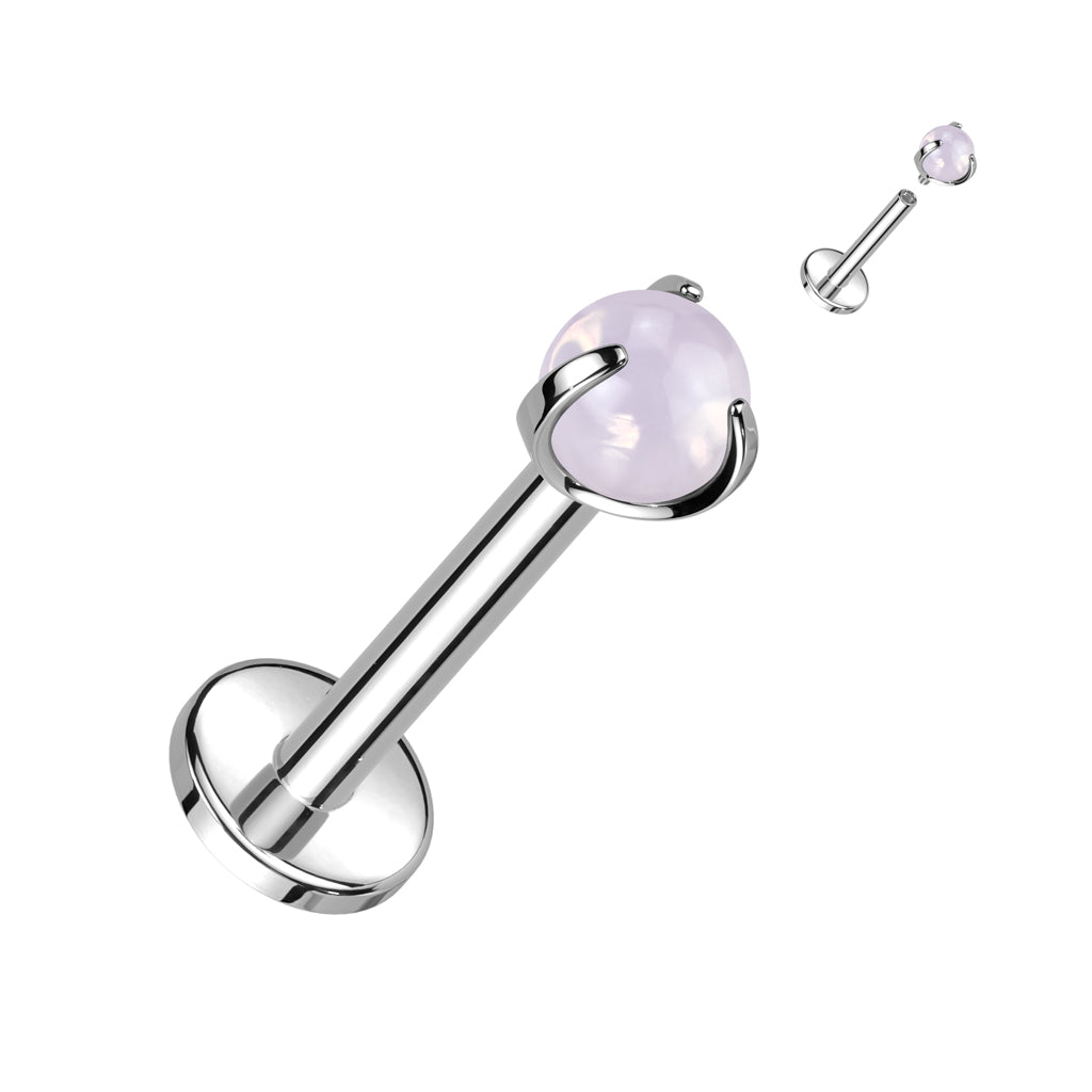 Implant Grade Titanium Internally Threaded Claw Set Natural Stone Top